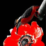 flowers #arteaartiste