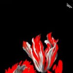 flowers #arteaartiste